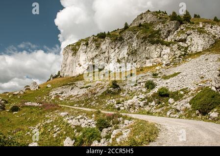 Un sentiero escursionistico intorno al monte Berneuse, in Svizzera Foto Stock