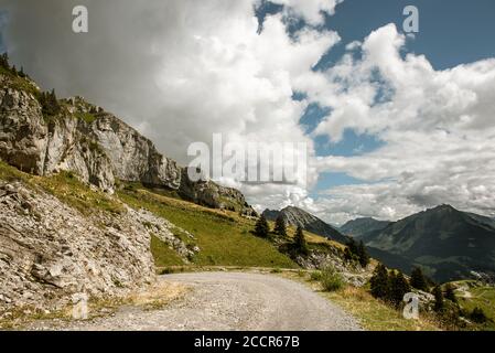 Sentiero escursionistico intorno al monte Berneuse, Svizzera Foto Stock