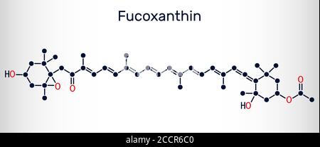Fucoxantina, C42H58O6, molecola di xantofilla. Ha proprietà antitumorali, antidiabetiche, antiossidanti, neuroprotettive. Formula chimica scheletrica. Illustrazione Vettoriale