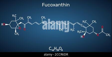 Fucoxantina, C42H58O6, molecola di xantofilla. Ha proprietà antitumorali, antidiabetiche, antiossidanti, neuroprotettive. Formula chimica strutturale Illustrazione Vettoriale