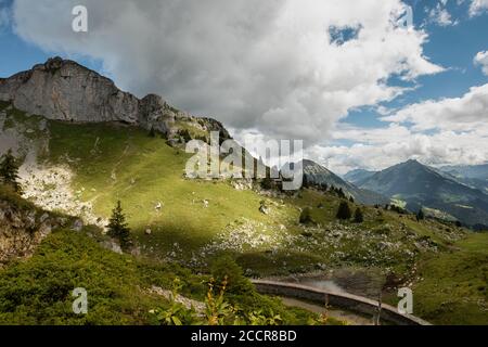 Un sentiero escursionistico intorno al monte Berneuse, in Svizzera Foto Stock