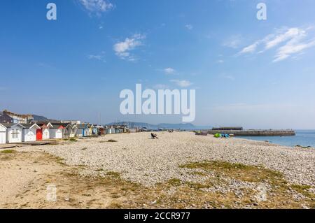 Vista da Monmouth Beach del Cobb a ovest di Lyme Regis, una popolare località balneare sulla Costa Jurassic a Dorset, Inghilterra sud-occidentale Foto Stock