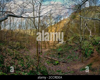 Vista panoramica dell'ingresso dal piano di lavoro di Yarncliffe Quarry, vicino a Grindleford, Derbyshire, Regno Unito Foto Stock