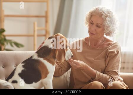 Ritratto di sorridente donna anziana che gioca con il cane e gli dà le prelibatezze mentre si siede sul divano in casa accogliente interno, copia spazio Foto Stock