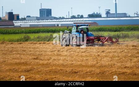 Maassluis,Holland,19-aug-2020:Farmer su trattore che taglia fieno in campo agricolo a maassluis, un villaggio in Olanda con le serre come sfondo e l'industria vicino a Rotterdam Foto Stock