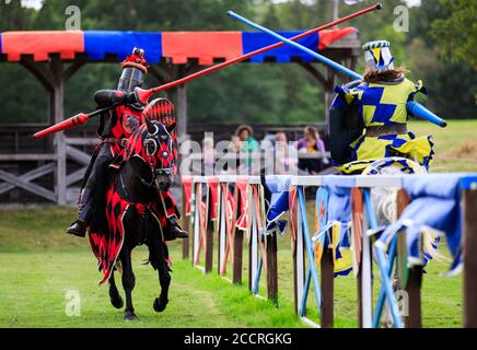 La giostra medievale tornò al Castello e ai Giardini di Hever a Kent questo fine settimana a seguito di una serie di eventi annullati durante l'estate a causa di Coronavirus. Gli attori che compongono ‘i Cavalieri dell'Inghilterra reale’ sono raffigurati per intrattenere la folla con esilaranti esposizioni di azione, acrobazie, cascate e combattimenti in un'autentica arena completa di Royal Box. La giostra torna per le festività del prossimo fine settimana. I biglietti devono essere prenotati in anticipo. Il castello di Hever ha commentato a causa di Covid-19: "Normalmente una giornata di giostre attirerebbe fino a 4,500 visitatori, ma il castello di Hever è attualmente in esecuzione a und Foto Stock