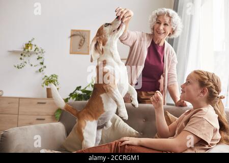 Ritratto dai toni caldi di una famiglia felice che gioca con il beagle attivo cane che salta per le prelibatezze in casa interiore Foto Stock