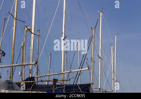 Alberi yacht allineati nel porto Foto Stock