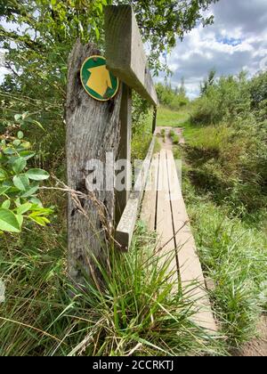 Una passerella in legno che attraversa un ruscello su un sentiero pubblico nella campagna vicino Alcester, Warwickshire, Regno Unito. Foto Stock