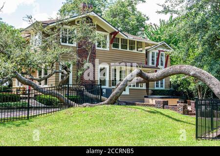 Orlando Florida,Lake Lawsona Historic District,Dickson Azalea Park,Carl T. Langford Park,Washington Street,famiglie genitori bambini bambini Foto Stock