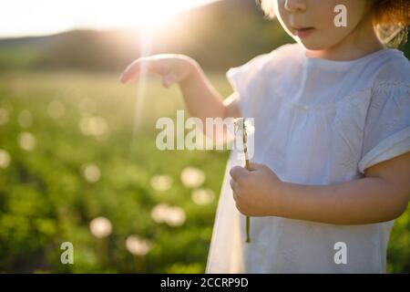 Bambina piccola in piedi su prato all'aperto in estate. Spazio di copia. Foto Stock