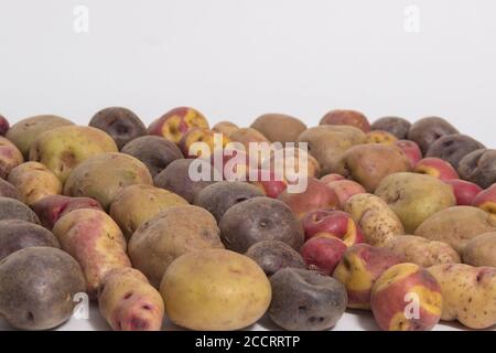 Tipi di patate - patate peruviane ancora vita Foto Stock