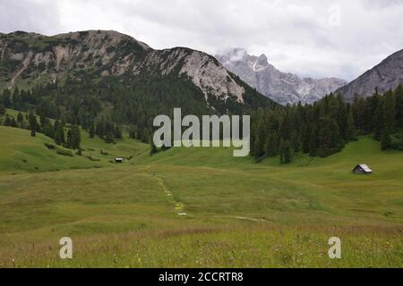 Prato Piazza è una località situata a 2000 metri di altezza, caratterizzata da vasti prati verdi che in inverno diventano piste da sci di fondo Foto Stock