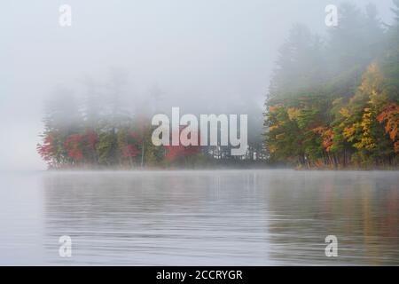 Mattina nebbia sul lago Foto Stock