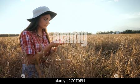 Giovane agricoltore donna nel campo di grano che controlla grani. Foto Stock