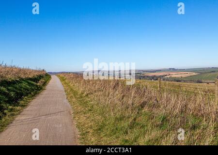 Un sentiero lungo i campi del South Downs, in una giornata di inverni soleggiati Foto Stock