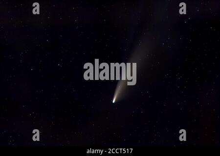 Cometa NEOWISE nella notte stellata Foto Stock