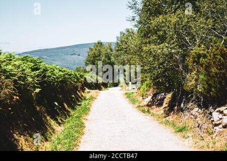 percorso in pietra circondato da vegetazione contro le montagne e il cielo blu Foto Stock