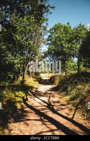 percorso in pietra circondato da vegetazione contro le montagne e il cielo blu Foto Stock