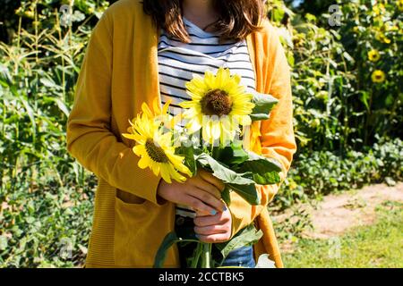 Primo piano di una ragazza in un pullover giallo Holding Girasoli freschi Foto Stock