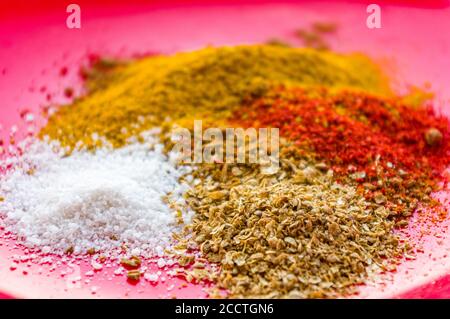 Spezie - pepe rosso, coriandolo macinato, sale e curcuma su un piatto rosso, primo piano Foto Stock