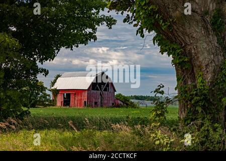 Buchanan, Michigan - un vecchio fienile in una fattoria del Michigan sud-occidentale. Foto Stock