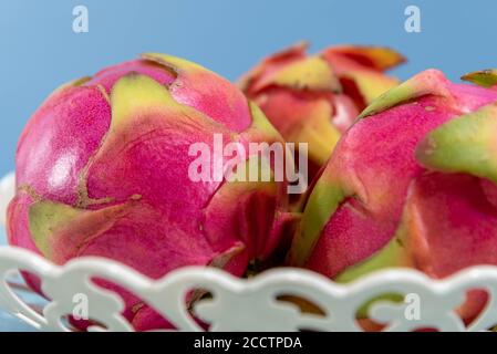 Pitaya frutta. Frutto del drago. Sfondo blu. Pitaya è un frutto naturale del Messico e dell'America Centrale, ma è coltivato anche in altri luoghi come Bra Foto Stock