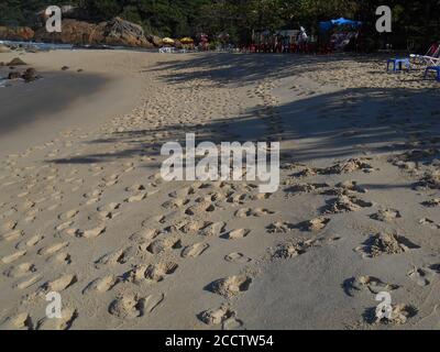 Sabbia segnata da impronte sulla spiaggia do Meio. Foto Stock