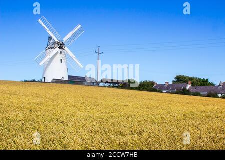 Il tradizionale mulino a vento di Ballycopeland in una giornata estiva luminosa. Questa storica torre costruita in pietra è un punto di riferimento locale fuori dalla contea di Millisle Down No Foto Stock