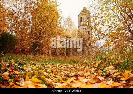 Vecchia casa di pietra abbandonata nella foresta d'autunno. Le rovine di un antico edificio Foto Stock