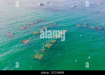 Un sacco di fattorie marine in un mare blu acqua. Concetto di agricoltura marittima Foto Stock