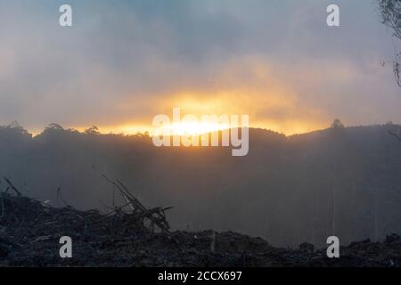 Tramonto con la pioggia dietro la montagna in background e. tagliare gli alberi di fronte Foto Stock