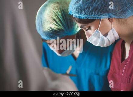 Ritratto di chirurghi al lavoro, operanti in uniforme. Foto Stock