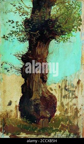 Joan Figueras Soler Trond d'arbre 1169. Foto Stock