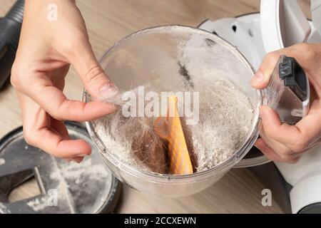 polvere, capelli animali e pelliccia nelle mani delle donne. Pulire il contenitore dopo aver utilizzato l'aspirapolvere Foto Stock