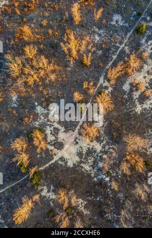 Gant, Ungheria - veduta aerea del drone orizzontale della miniera di bauxite abbandonata con gli alberi al tramonto Foto Stock