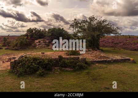 Resti di rifugio aereo raid accanto al sito della seconda guerra mondiale alta frequenza direzione Finding Station su Ibsley Common, New Forest, Hampshire, Regno Unito Foto Stock