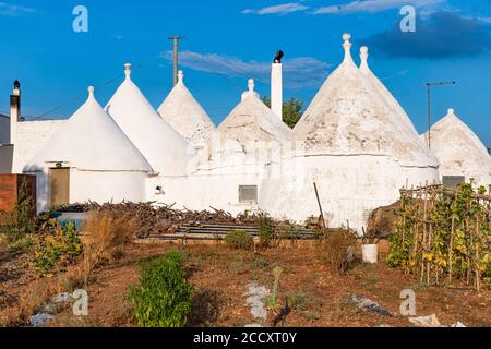 Gruppo di bellissimi Trulli bianchi, vecchie case tradizionali in Puglia, Italia, con giardino mercato e pomodori freschi Foto Stock