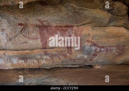 Pitture rupestri in Lass Geel grotte, il Somaliland e la Somalia Foto Stock