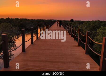 L'isola di al Khor, conosciuta anche come Jazirat bin Ghanim e Purple Island, è un'isola situata nel comune di al Khor, sulla costa nord-orientale del Qata Foto Stock