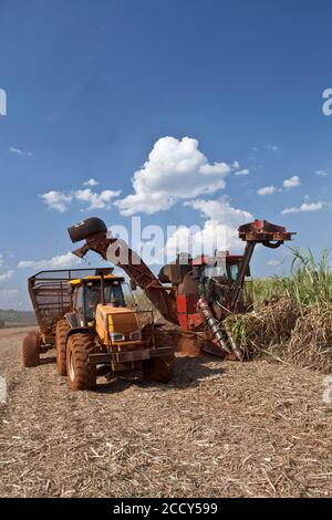 Raccolto meccanizzato di canna da zucchero, San Paolo, Brasile Foto Stock