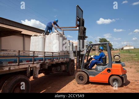 Operaio Manuvers Ascensore camion con uno e mezzo Ton Coffee Sacks vicino Luis Eduardo Magalhaes, Bahia, Brasile Foto Stock