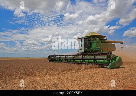 Raccolto meccanizzato di soia vicino a Luis Eduardo Mahalhaes, Bahia, Brasile Foto Stock