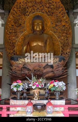 Statua del Buddha di Amida, Tempio di Byodo-in, Parco commemorativo della Valle dei Templi, Kahaluu, Oahu, Hawaii, USA Foto Stock