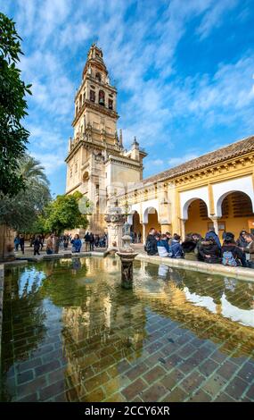 Chiesa torre riflessa nella fontana, portico, patio de los Naranjos, Mezquita, Mezquita-Catedral de Cordoba o Cattedrale della Concezione del nostro Foto Stock