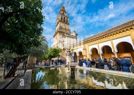 Chiesa torre riflessa nella fontana, portico, patio de los Naranjos, Mezquita, Mezquita-Catedral de Cordoba o Cattedrale della Concezione del nostro Foto Stock