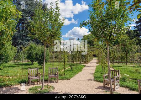 Giardino di rose nel giardino Albert Kahn - Boulogne-Billancourt - Francia Foto Stock