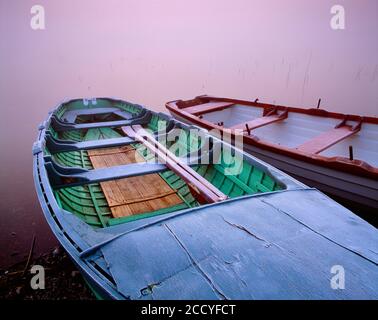 Regno Unito. Irlanda del Nord. Strabane. Due barche a remi a bordo di Lough Moor nella nebbia del mattino presto. Foto Stock