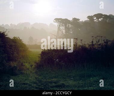 Guernsey. Paesaggio mattina presto. Foto Stock