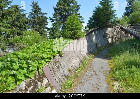 20 luglio 2020, Sassonia, Fichtelberg: L'ex pista luge del club sportivo della GDR Traktor Oberwiesenthal a Fichtelberg, nell'Erzgebirge, viene lentamente rilevata dalla natura. Alla fine degli anni '60, la pista da slitta da corsa lunga 1100 m, lunga 1100 m, che ama la natura, composta da elementi prefabbricati in calcestruzzo, fu costruita sul versante nord-orientale. Dopo la svolta politica ha perso la sua importanza, l'operazione è stata interrotta e la pista è stata parzialmente smantellata. Foto: Volkmar Heinz/dpa-Zentralbild/ZB Foto Stock